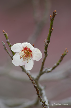 IMGP5688