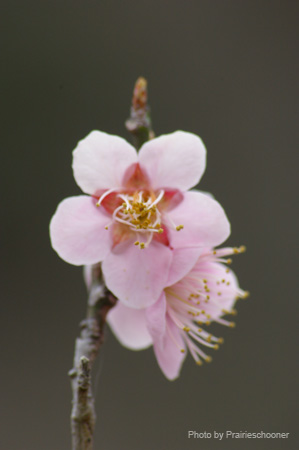 IMGP5697