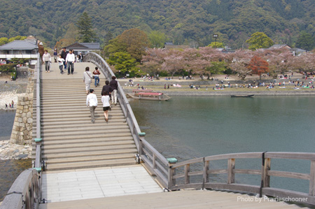 IMGP0694