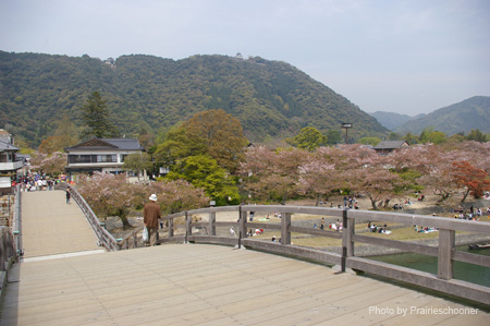 IMGP0696