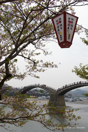 IMGP0703