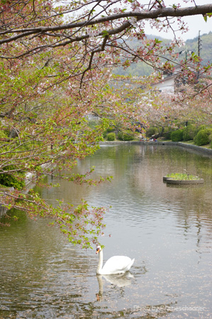 IMGP0711