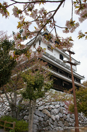 IMGP0716