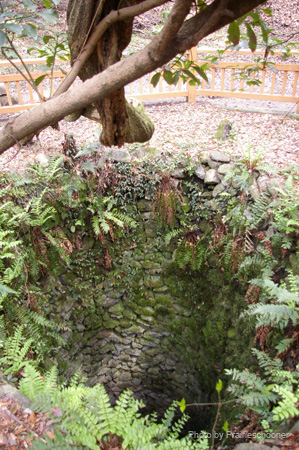 IMGP0720