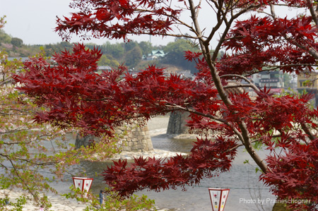 IMGP0722