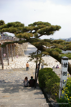 IMGP0724