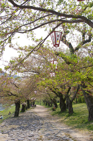IMGP0726