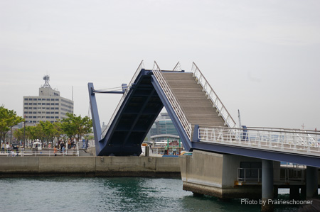IMGP0787