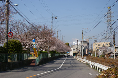 IMGP0485