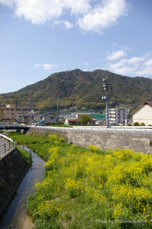 IMGP0488