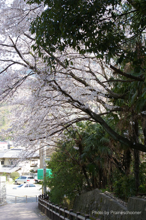 IMGP0493