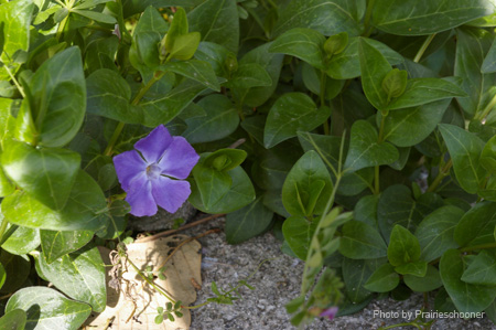 IMGP0496
