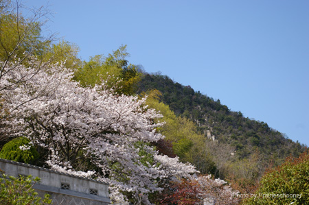 IMGP0507