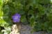 IMGP0496
