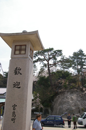 IMGP0520