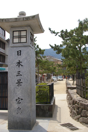 IMGP0525