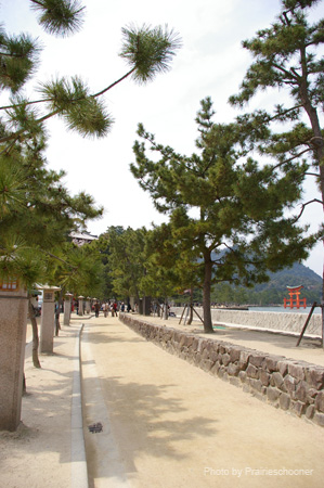 IMGP0527