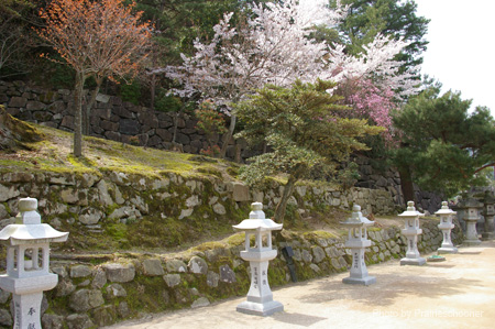 IMGP0532