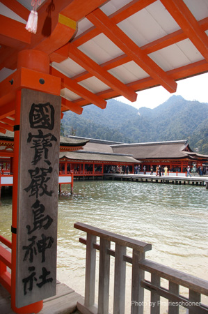 IMGP0540