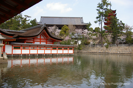 IMGP0544