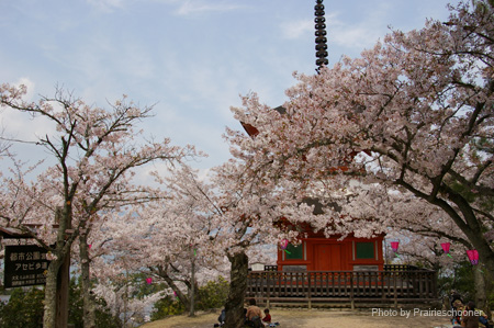 IMGP0585