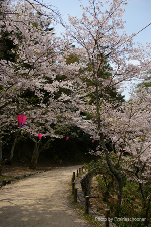 IMGP0590