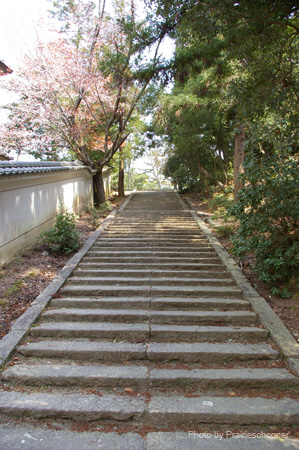IMGP0600