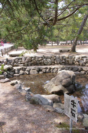 IMGP0609