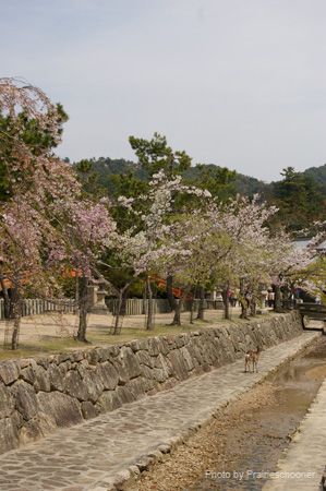 IMGP0616