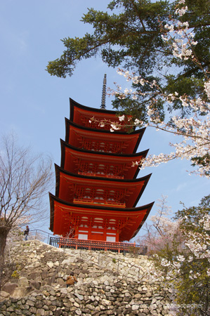 IMGP0619