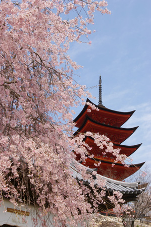 IMGP0623