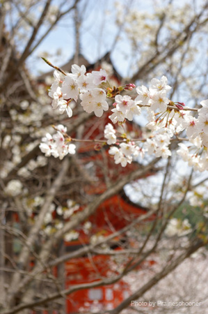 IMGP0636