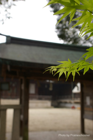 IMGP0881