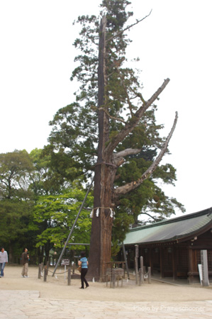 IMGP0886