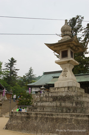 IMGP0888
