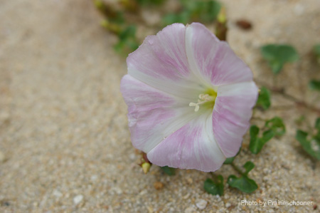 IMGP0892