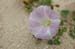 IMGP0892
