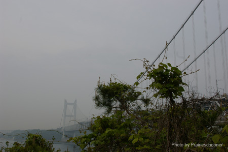 IMGP0927