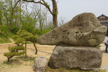 IMGP0930