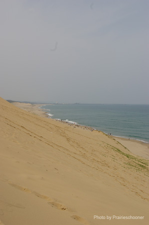 IMGP0942