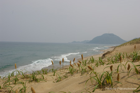 IMGP0945