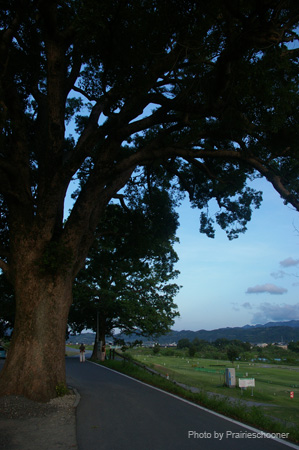 IMGP1273