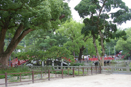 IMGP1283