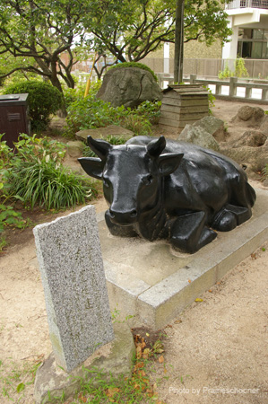IMGP1284