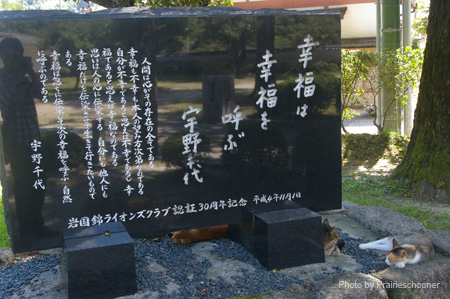 IMGP1609